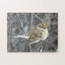 Recherche de moineau puzzles Oiseaux chanteurs