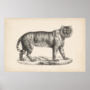 Recherche de tigger posters Antique