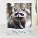Recherche de cute raccoon cartes postales Neige