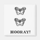 Recherche de anatomie magnete Humour