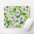 Recherche de hibiscus tapis souris Botanique