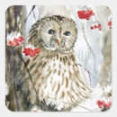Recherche de hibou barré Faune