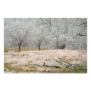 Recherche de le tennessee posters Nature