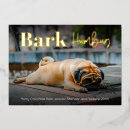 Recherche de de voeux de carlin cartes vœux cartes Xmas