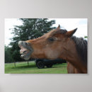 Recherche de cheval de baie posters Poney