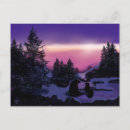 Recherche de newfie cartes postales Chiot