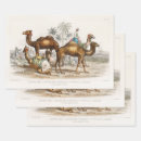 Recherche de illustration indienne papier cadeau Pour tous