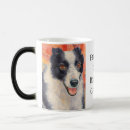 Recherche de chien de border collie tasses Toute personne