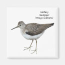 Recherche de bene magnets Nature