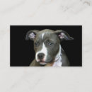 Recherche de chiot bleu cartes visite Chien