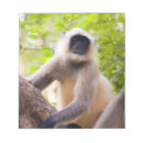 Recherche de jungle blocsnotes Faune sauvage
