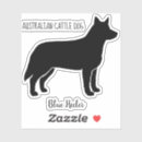 Recherche de heeler Hélier bleu