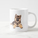 Recherche de berger allemand tasses Race