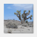 Recherche de mojave Paysage