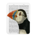 Recherche de oiseau macareux magnets Oiseaux