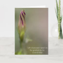 Recherche de matin photographie Fleurs