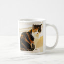 Recherche de calicot tasses Animaux familiers