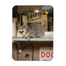 Recherche de totalement magnets Adorable