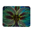 Recherche de amaryllis magnets Blanc