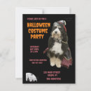 Recherche de pirates cartes postales Pour tous