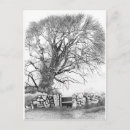 Recherche de elmer cartes postales Orme