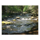 Recherche de précipité art Rivière