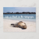 Recherche de galerie cartes postales Vacances