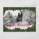 Recherche de noël berger allemand cartes postales Festif