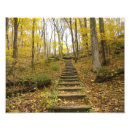 Recherche de escalier posters Photographie