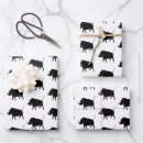 Recherche de sanglier papier cadeau Faune