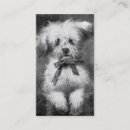 Recherche de pelucheux cartes visite Animaux familiers