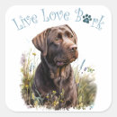 Recherche de chiot de labrador autocollants Amoureux des chiens
