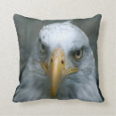 Recherche de oiseau de proie coussins Aigle