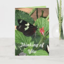 Recherche de beau jardin vœux cartes Papillon