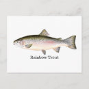 Recherche de truite arc en ciel cartes postales Poisson