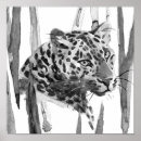 Recherche de guépard posters Jungle