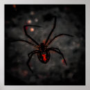 Recherche de araignée veuve noire posters Rouge