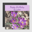 Recherche de crocus pourpre Botanique