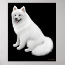 Recherche de sammy art Blanc