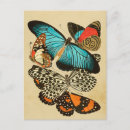Recherche de insectes posters Jardin