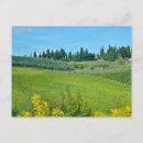 Recherche de chianti cartes postales Paysage