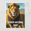 Recherche de parc national de kruger cartes postales Nature