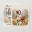 Recherche de berger invitations Aussie