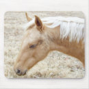 Recherche de colt tapis souris Cheval