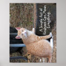 Recherche de yeux oranges posters Chat