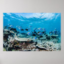 Recherche de plongée sous marine art Poisson