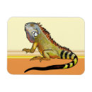 Recherche de iguane magnets Reptile