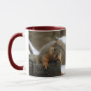 Recherche de écureuil mignon tasses Photographie