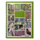 Recherche de faucons carnets Oiseaux