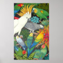 Recherche de perroquets posters Cockatoo
